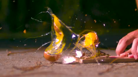 a raw egg being crushed by a mouse trap during a sunny summer day