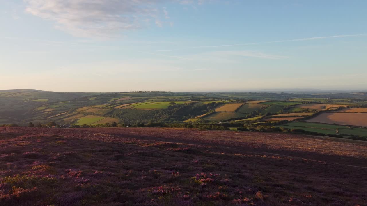 보라색 헤더와 롤링 그린 필드와 아름다운 푸른 하늘 exmoor devon uk의 일출 조명 공중 드론 샷