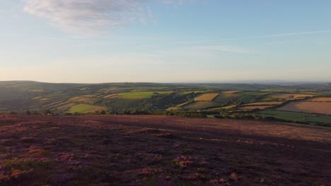 amanecer iluminación aérea drone tiro de brezo púrpura y ondulantes campos verdes y hermoso cielo azul exmoor devon uk