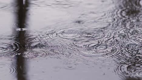 Gotas-De-Lluvia-Y-Salpicaduras-De-Agua