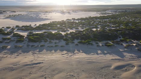 Drohnenluftaufnahmen-Bewegen-Sich-Bei-Sonnenaufgang-In-Richtung-Bäume-Und-Sanddünen