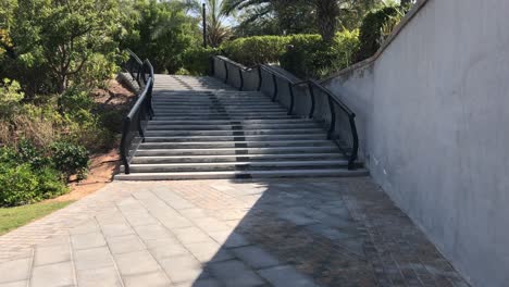 sendero de ladrillos con escaleras y hierba verde al costado durante el día