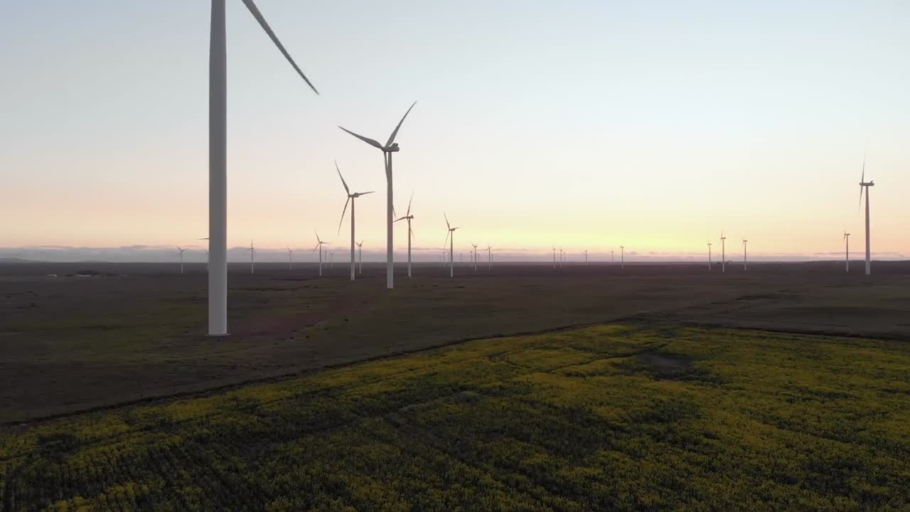 구름 없는 하늘을 가진 시골 풍경에서 풍력 터빈의 일반적인 모습
