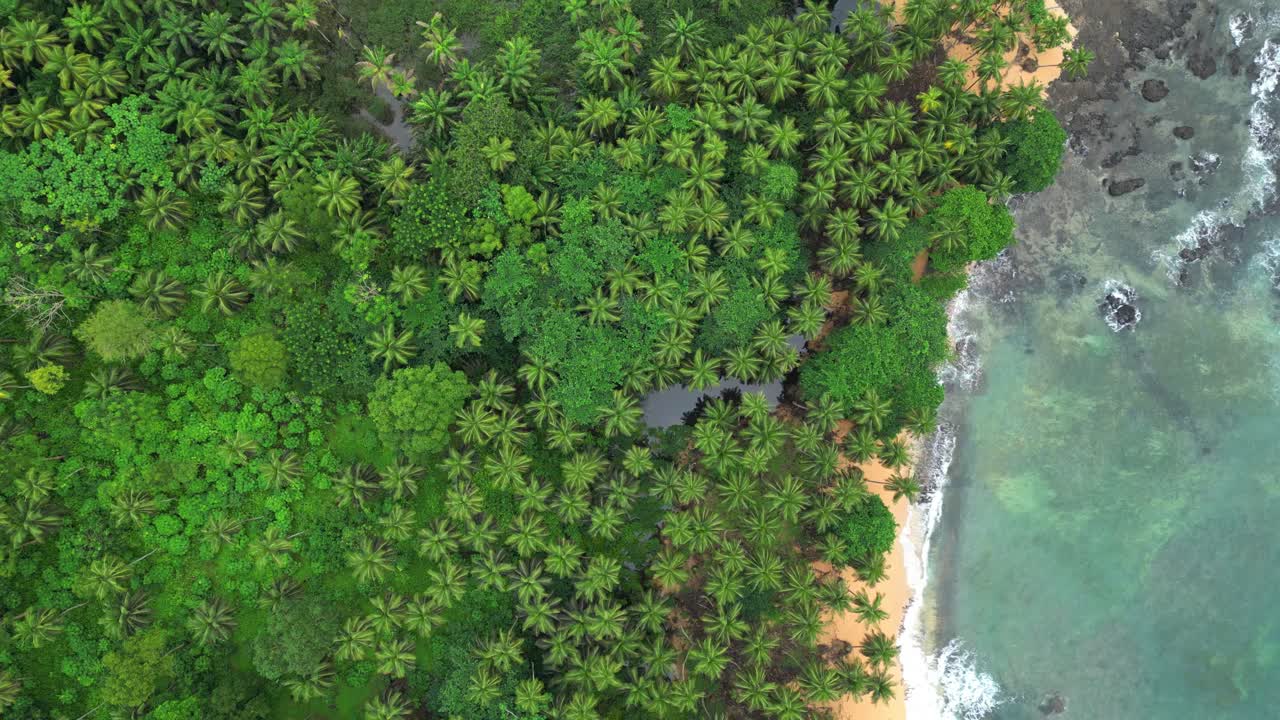 A bird's eye view of the magnificent green African coast in São Tomé.