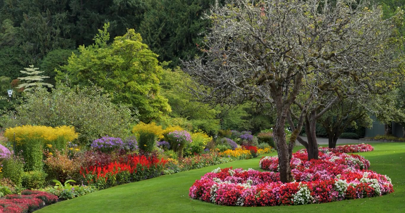 Splendidi Giardini Butchart a Victoria, Columbia Britannica, Isola di Vancouver, Canada.