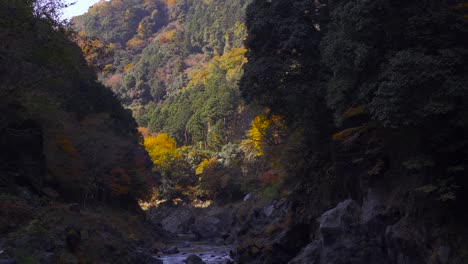 Inclinación-Lenta-Hacia-Arriba-Sobre-El-Valle-Oscuro-Con-Río-En-Cascada-Y-Follaje-De-Otoño