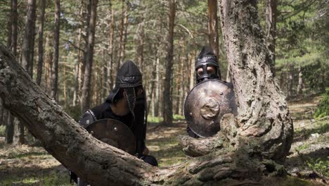 Soldados-Guerreros-Históricos.