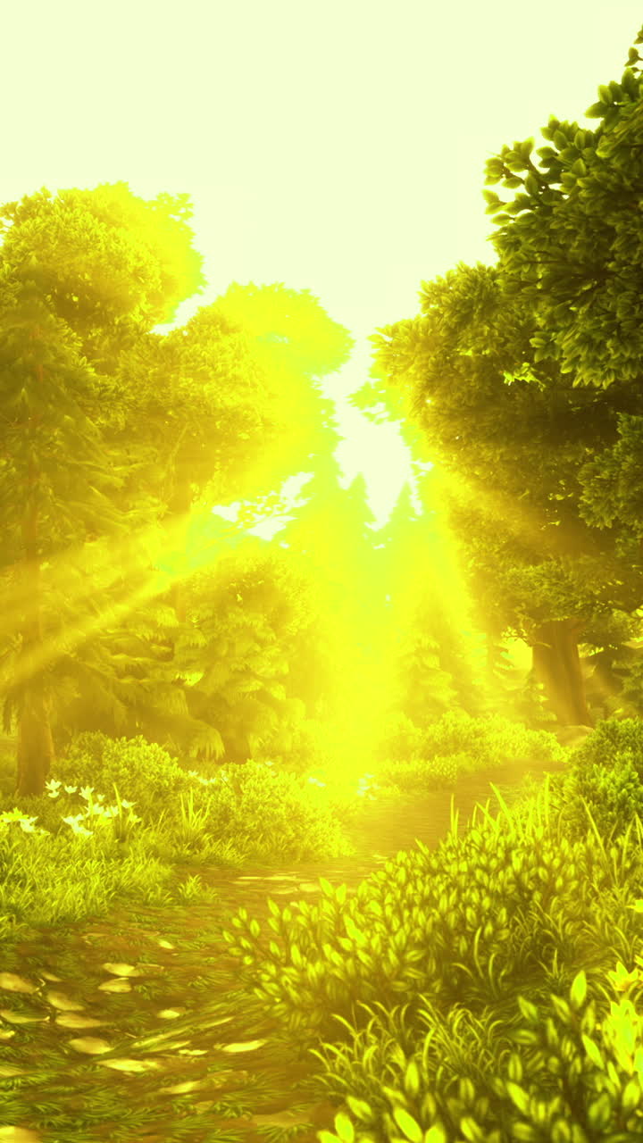 Golden sunlight filters through lush green trees in a vibrant forest trail