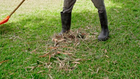 unrecognizable person raking dry grass from lawn. handheld