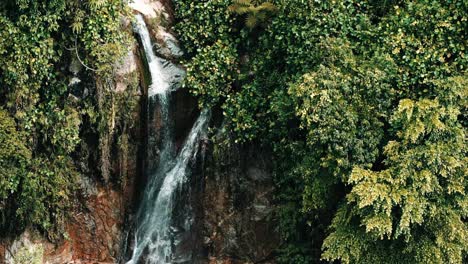 Flujo-De-Agua-De-Un-Pequeño-Arroyo