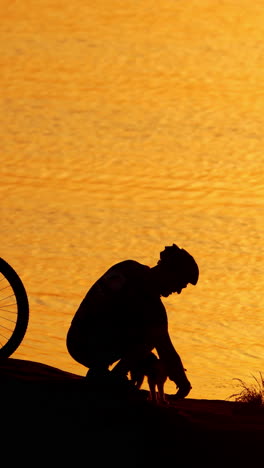 three cats, a bike, cyclist near the beautiful river at sunset. man in sports clothing with helmet playing with cats on the orange water background outdoors. vertical video