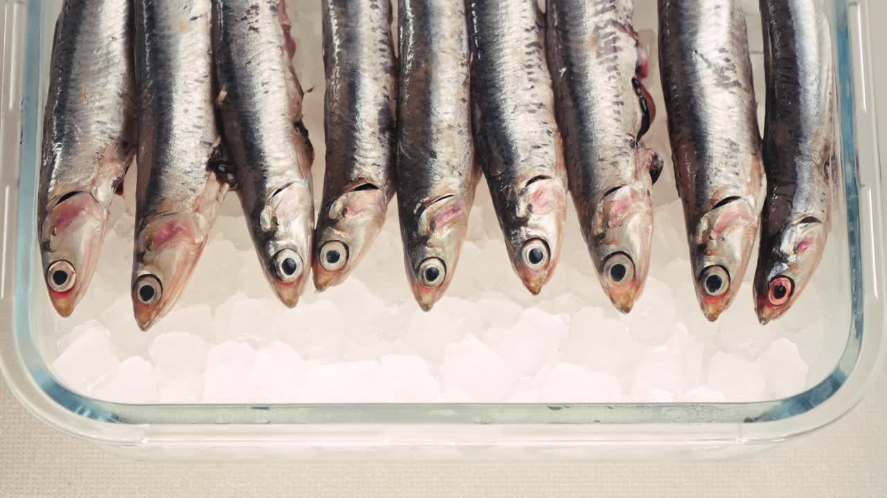 anchoas frescas en hielo
