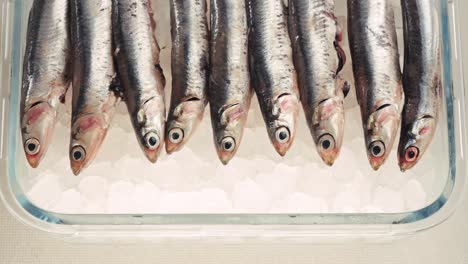 anchoas frescas en hielo