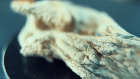 un macro en primer plano giratorio de un psiloactivo mágico psilocibina alucinación hongo seco, iluminación de estudio, cámara lenta 120 fps, full hd