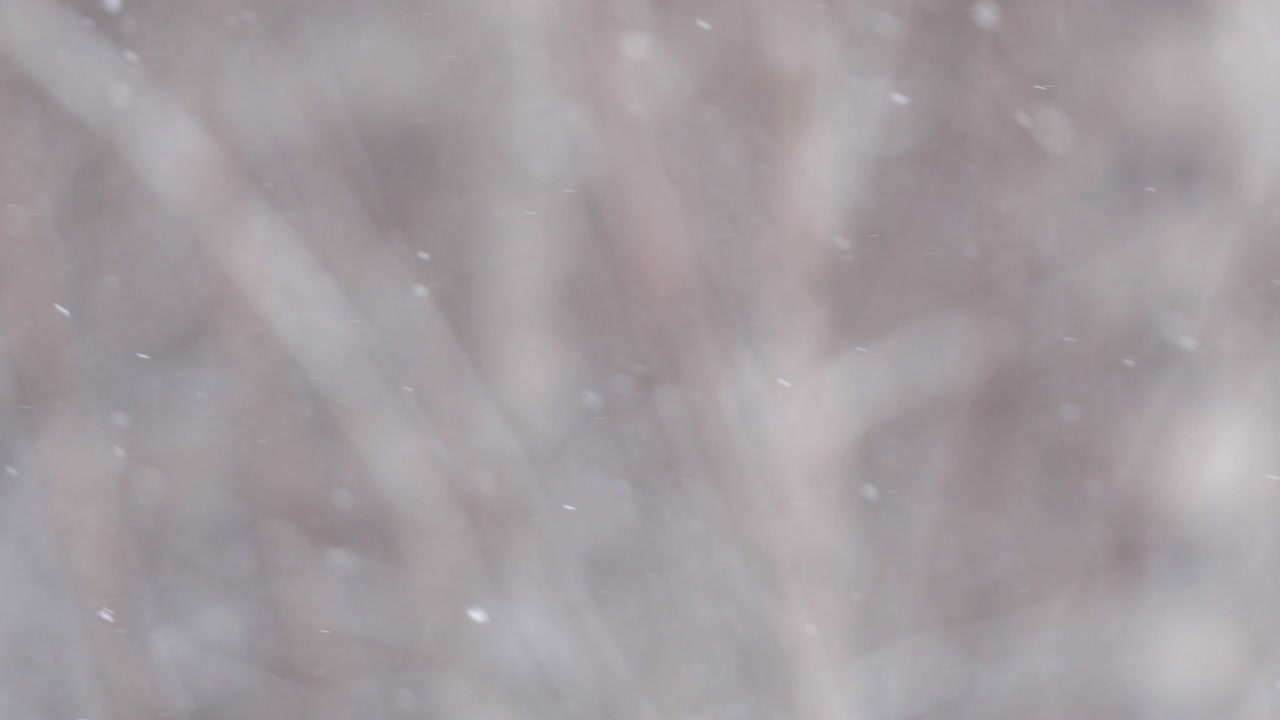 눈은 천천히 떨어지고 돌아갑니다. 흐릿한 겨울  눈 배경