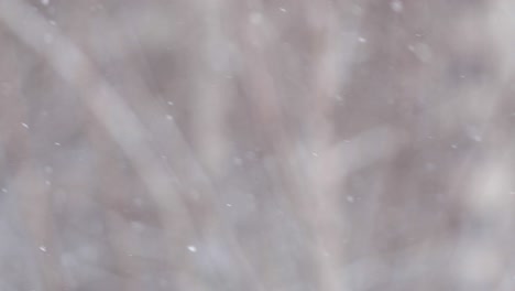 la nieve cae lentamente y se vuelve borrosa invierno fondo de nieve blanca