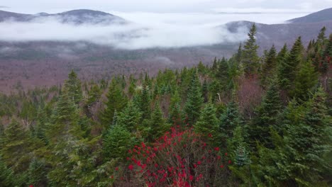 misty morning over the forested canadian mountain backcountry with vibrant autumn red leaves