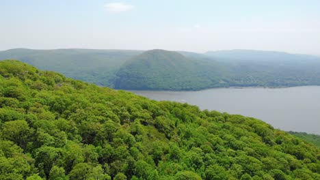 beautiful aerial view of forest and river