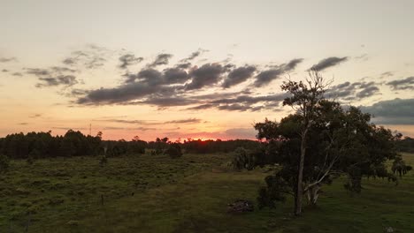 Hyperlapse flight over farm landscape of Uruguay at sunset time. Moving clouds at dusk sky. Aerial forward time lapse in forest landscape.