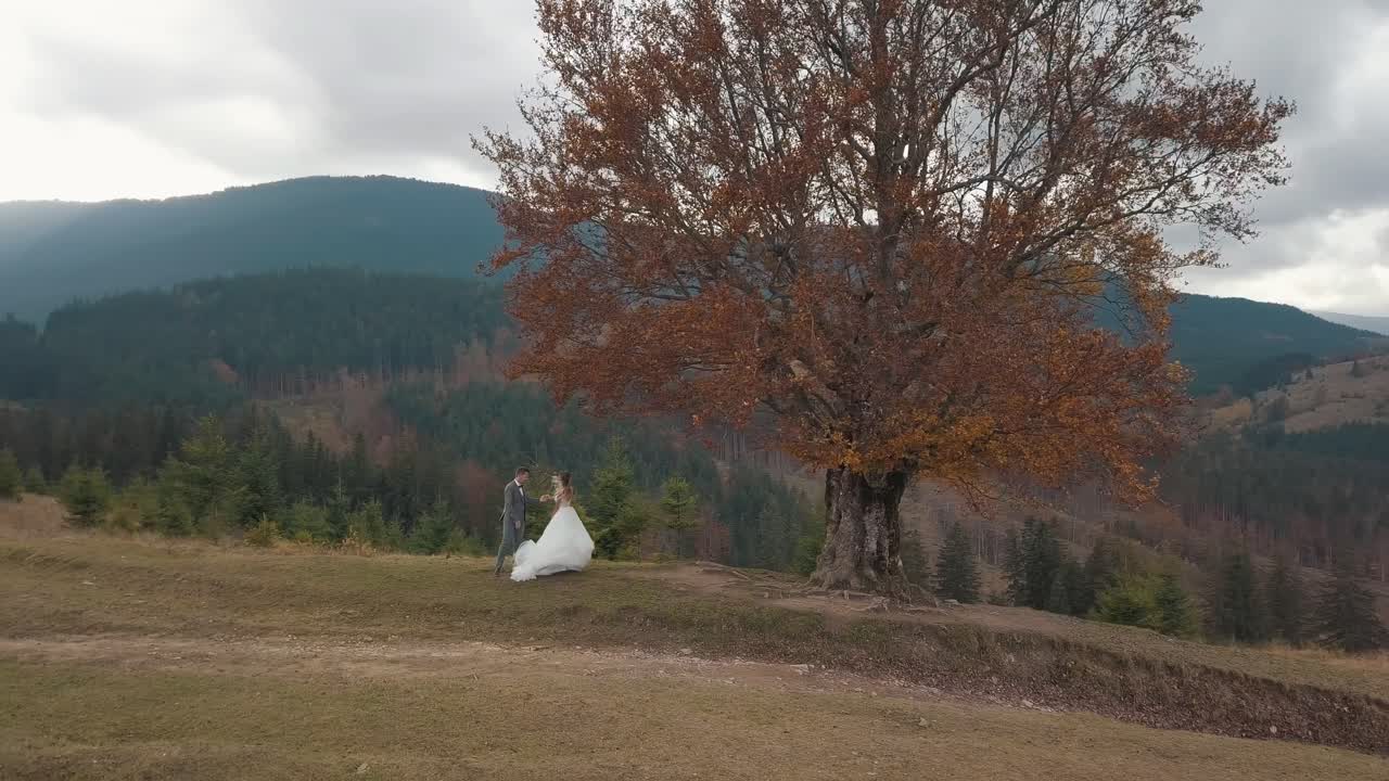 encantadores recién casados novia novio bailando en la ladera de la montaña otoño, pareja de bodas familia, vista aérea