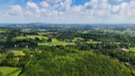 drone flight over english countryside, starting top down on tree canopy tilting up to reveal panoramic worcestershire horizon