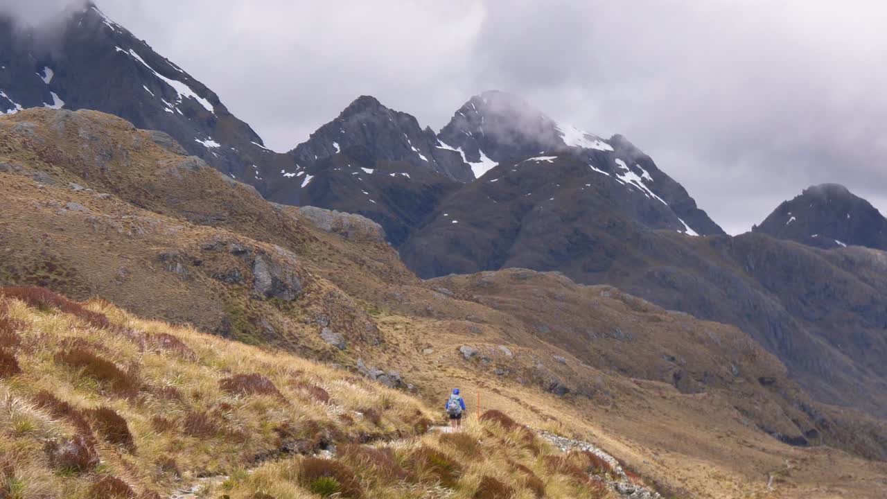 excursionista sola cruza el paso alpino expuesto, routeburn track nueva zelanda