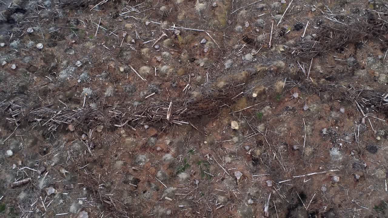 임업 목재 벌목 수확 삼림 벌채 공중 조감도 파괴 된 삼림 지대를 가로 질러 위로 기울이기