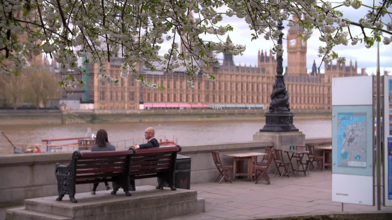 London, spring, Houses of Parliament from Albert Embankment