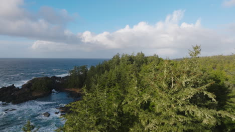 drone video at sunset in ucluelet british columbia, canada over the ocean and forest