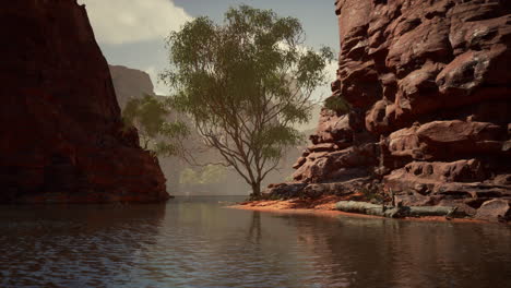 el río colorado atraviesa cañones de arenisca roja.