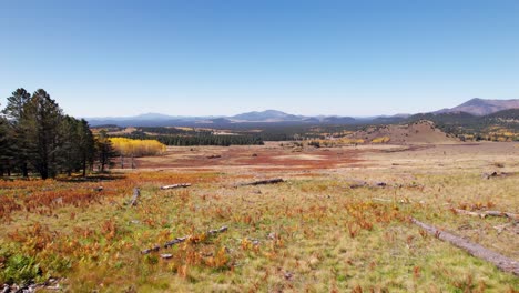 Imágenes-De-Drones-De-Una-Pradera-De-Montaña