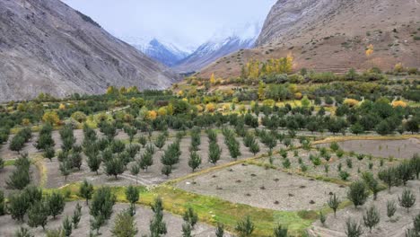 K-Aerial-Shots-of-a-small-Village-in