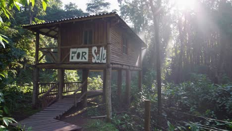 wooden cabin for sale in a lush forest
