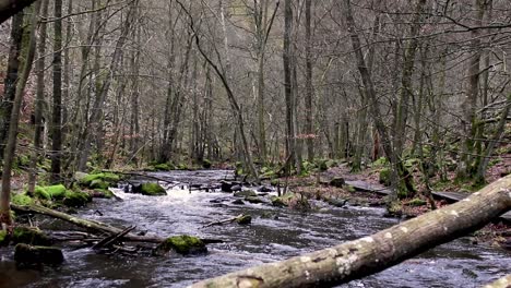 Slow-Flowing-River-running-through-a-Forest-in-the-Fall