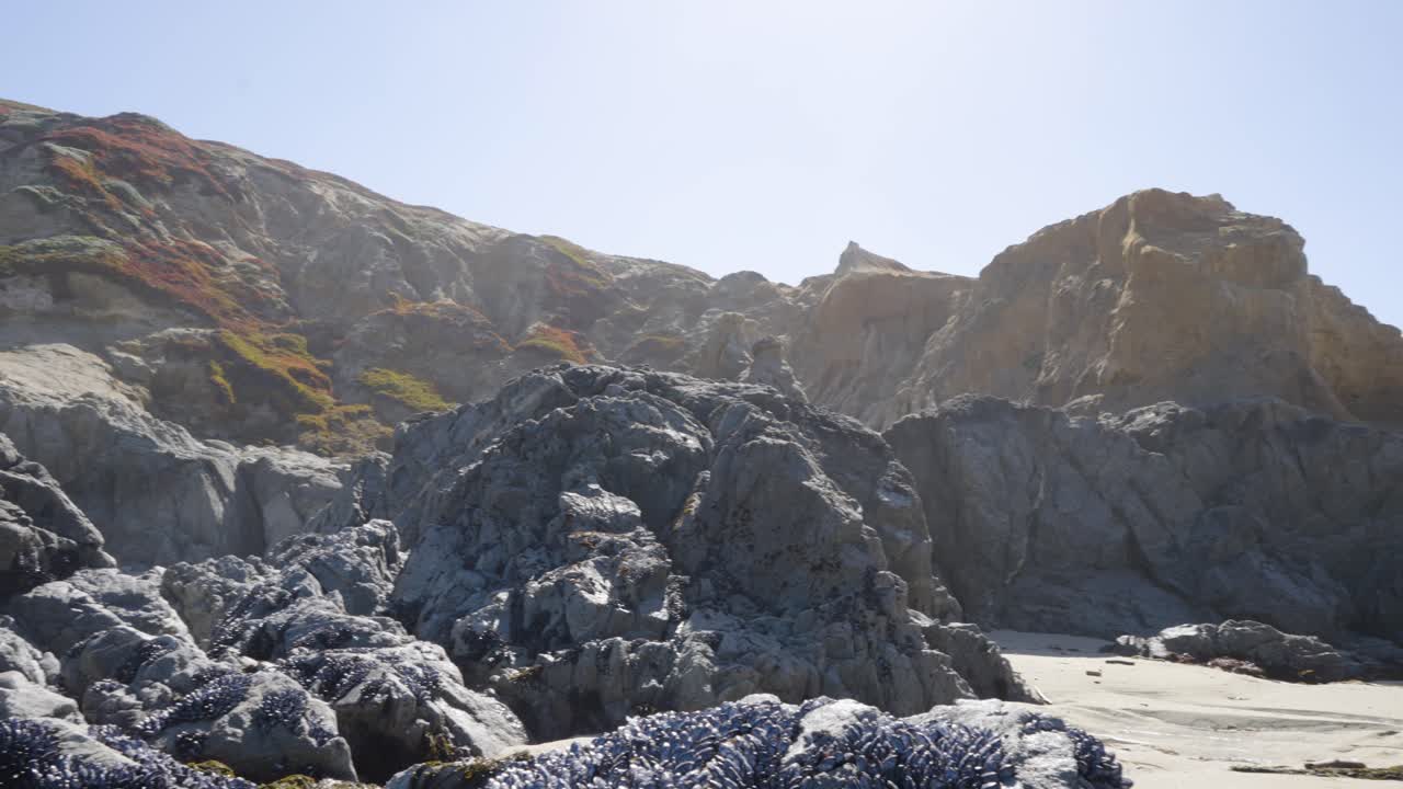 Landscape of Bodega Bay in California featuring low tide and some surrounding cliffs.