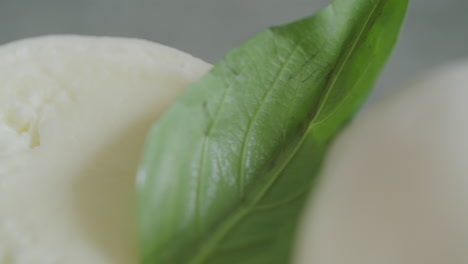 fresh juicy italian mozzarella with a basil leaf ready to be served at a gourmet restaurant