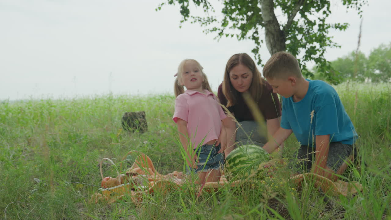 하얀 피부의 가족이 햇볕이 잘 드는 야외에서 잘 익은 수박을 수확하고 있어요. 엄마는 아이들에게 담요 위에서 수박의 무게와 텍스처를 확인하도록 안내하고, 키 큰 풀이 있는 들판에서 즐거운 팀워크와 소박한 피크닉 준비를 하고 있으며 계절적인 분위기가 느껴집니다.