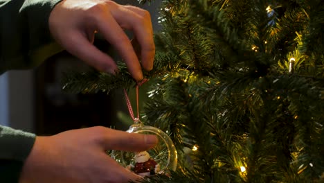 Man-with-green-Christmas-Sweater-hanging-a-clear-ornament-with-Santa-Claus-in-a-pine-or-christmas-tree,-Close-Up,-Side-view