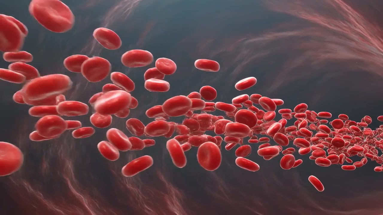 Streaming red blood cells flowing inside vessel, driven by flow, rotating past fibrous wall