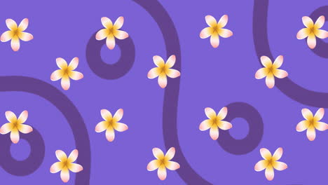 animación de flores rosadas y amarillas giratorias con curvas y círculos púrpuras sobre fondo púrpura