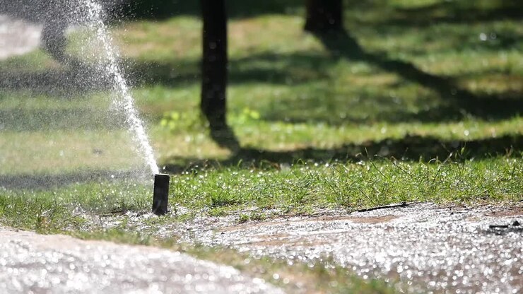 Un irrigatore che innaffia un prato verde