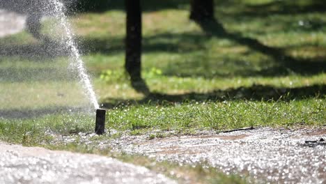 a sprinkler watering a green lawn