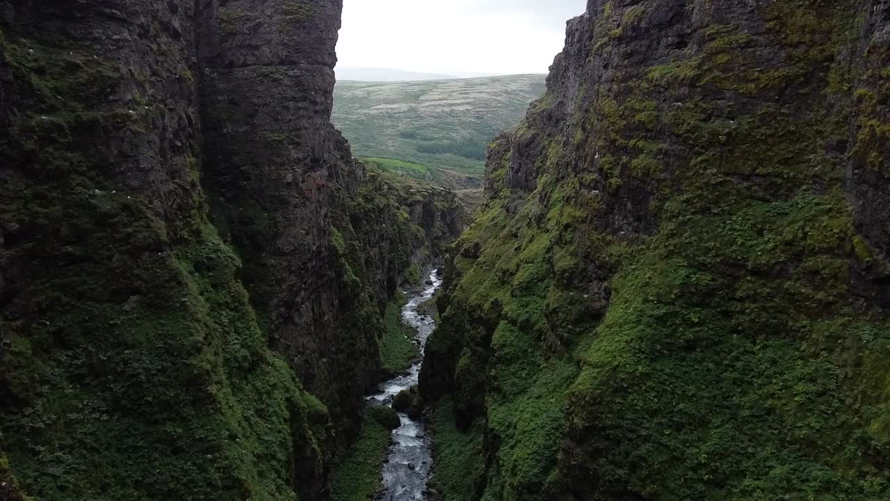 Moss Covered Glymur Canyon in Iceland Wilderness with river and birds flying, aerial view