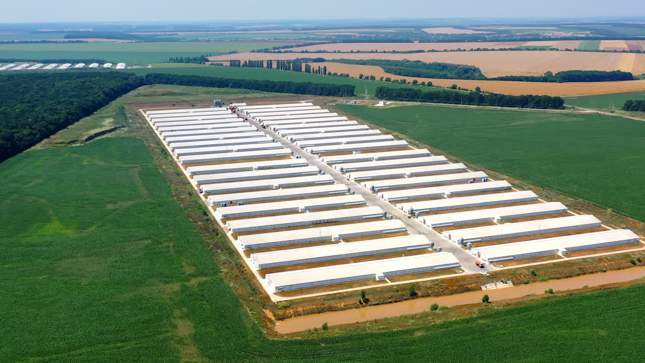 Modern farm on the background of agriculture fields. Contemporary white barn houses situated on green field at sunlight. Aerial view.