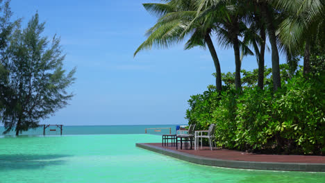 piscina con palmeras de coco y mar