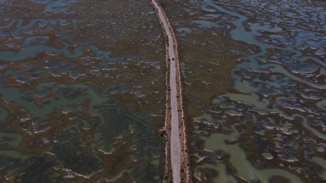 a road with a van crossing through marshes