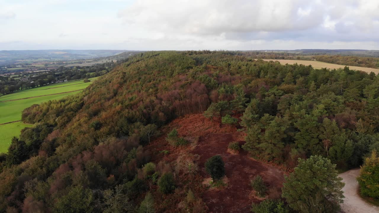 toma panorámica aérea izquierda de los árboles en east hill devon, inglaterra en otoño