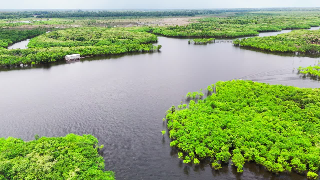 Drone dolly forward view, lush green waterways of the Amazon Rainforest near Manaus, Brazil, capturing vibrant jungle canopies and winding rivers in a tropical wetland ecosystem