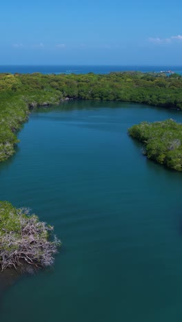 vertical drone shot, lagoon and mangroves of green uninhabited tropical island