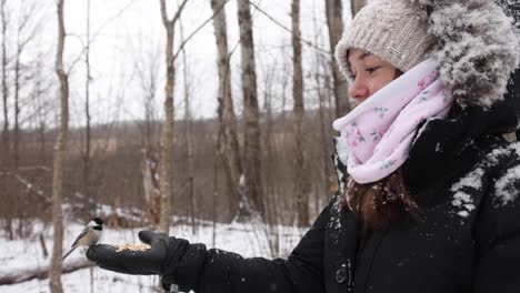 chickadee-bird-eats-seeds-from-woman's-hand-slomo-snow-falling